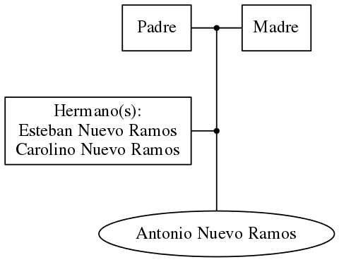 This is a graph with borders and nodes. Maybe there is an Imagemap used so the nodes may be linking to some Pages.