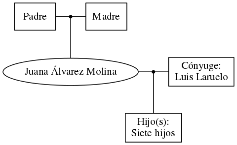 This is a graph with borders and nodes. Maybe there is an Imagemap used so the nodes may be linking to some Pages.