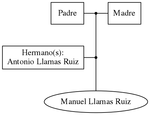 This is a graph with borders and nodes. Maybe there is an Imagemap used so the nodes may be linking to some Pages.