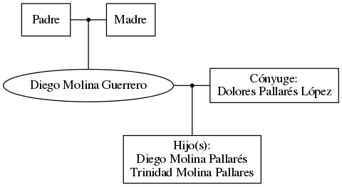 This is a graph with borders and nodes. Maybe there is an Imagemap used so the nodes may be linking to some Pages.