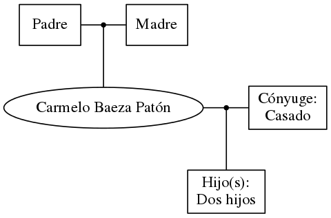 This is a graph with borders and nodes. Maybe there is an Imagemap used so the nodes may be linking to some Pages.