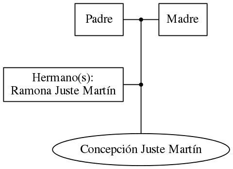 This is a graph with borders and nodes. Maybe there is an Imagemap used so the nodes may be linking to some Pages.