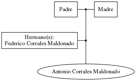 This is a graph with borders and nodes. Maybe there is an Imagemap used so the nodes may be linking to some Pages.