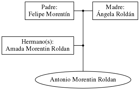 This is a graph with borders and nodes. Maybe there is an Imagemap used so the nodes may be linking to some Pages.