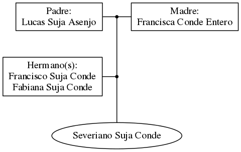 This is a graph with borders and nodes. Maybe there is an Imagemap used so the nodes may be linking to some Pages.