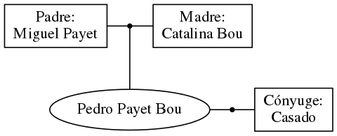 This is a graph with borders and nodes. Maybe there is an Imagemap used so the nodes may be linking to some Pages.