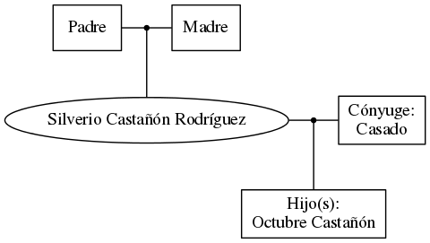 This is a graph with borders and nodes. Maybe there is an Imagemap used so the nodes may be linking to some Pages.