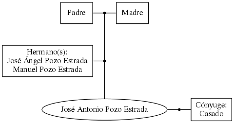 This is a graph with borders and nodes. Maybe there is an Imagemap used so the nodes may be linking to some Pages.