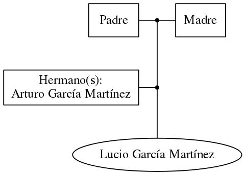 This is a graph with borders and nodes. Maybe there is an Imagemap used so the nodes may be linking to some Pages.