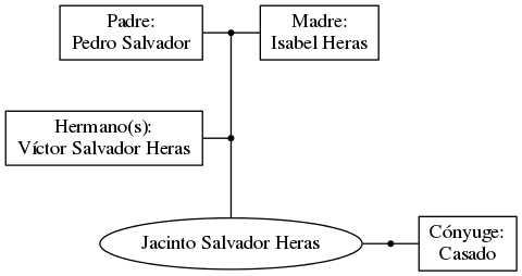 This is a graph with borders and nodes. Maybe there is an Imagemap used so the nodes may be linking to some Pages.