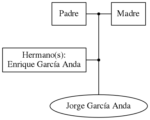 This is a graph with borders and nodes. Maybe there is an Imagemap used so the nodes may be linking to some Pages.