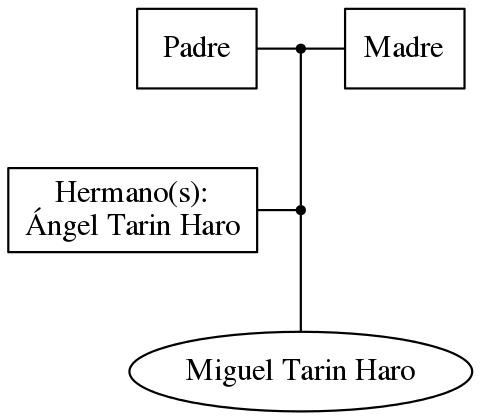 This is a graph with borders and nodes. Maybe there is an Imagemap used so the nodes may be linking to some Pages.