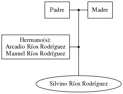 This is a graph with borders and nodes. Maybe there is an Imagemap used so the nodes may be linking to some Pages.