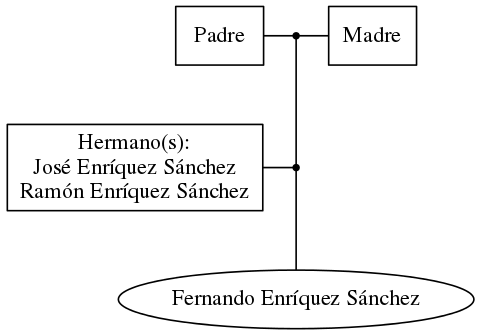 This is a graph with borders and nodes. Maybe there is an Imagemap used so the nodes may be linking to some Pages.