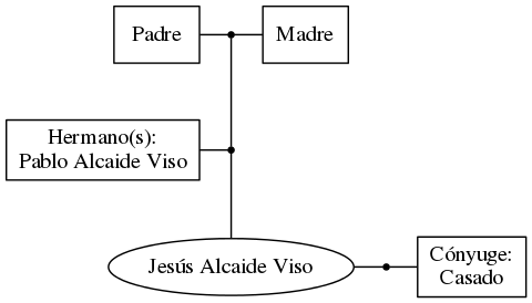 This is a graph with borders and nodes. Maybe there is an Imagemap used so the nodes may be linking to some Pages.