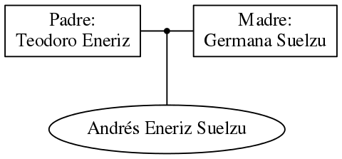 This is a graph with borders and nodes. Maybe there is an Imagemap used so the nodes may be linking to some Pages.