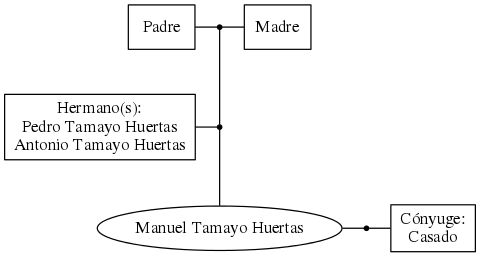 This is a graph with borders and nodes. Maybe there is an Imagemap used so the nodes may be linking to some Pages.