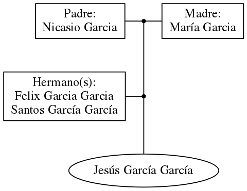 This is a graph with borders and nodes. Maybe there is an Imagemap used so the nodes may be linking to some Pages.