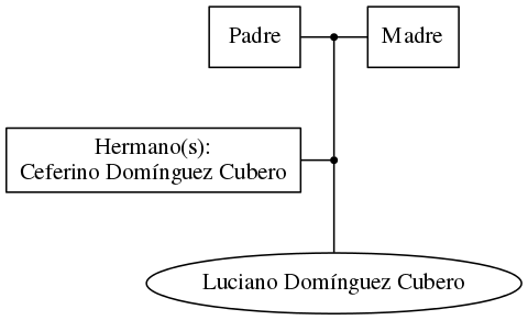 This is a graph with borders and nodes. Maybe there is an Imagemap used so the nodes may be linking to some Pages.