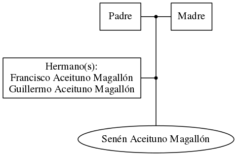 This is a graph with borders and nodes. Maybe there is an Imagemap used so the nodes may be linking to some Pages.