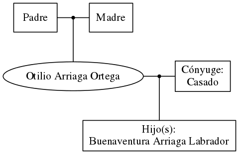 This is a graph with borders and nodes. Maybe there is an Imagemap used so the nodes may be linking to some Pages.