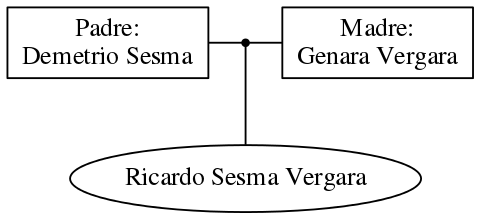 This is a graph with borders and nodes. Maybe there is an Imagemap used so the nodes may be linking to some Pages.