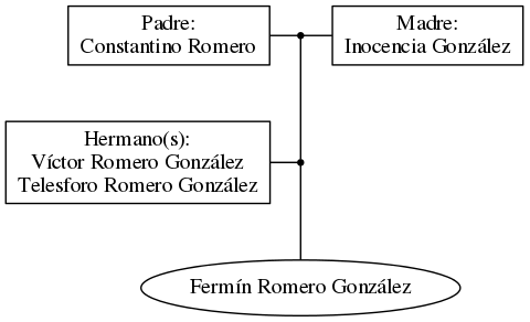 This is a graph with borders and nodes. Maybe there is an Imagemap used so the nodes may be linking to some Pages.