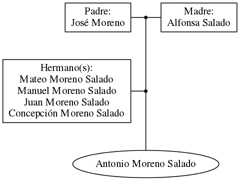 This is a graph with borders and nodes. Maybe there is an Imagemap used so the nodes may be linking to some Pages.