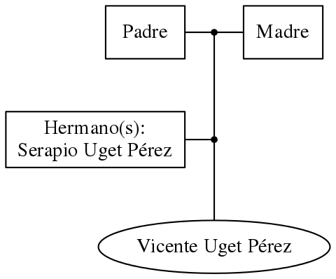 This is a graph with borders and nodes. Maybe there is an Imagemap used so the nodes may be linking to some Pages.