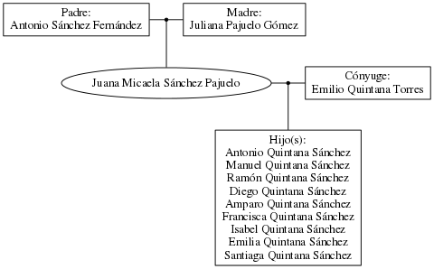 This is a graph with borders and nodes. Maybe there is an Imagemap used so the nodes may be linking to some Pages.