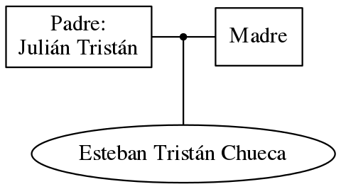 This is a graph with borders and nodes. Maybe there is an Imagemap used so the nodes may be linking to some Pages.