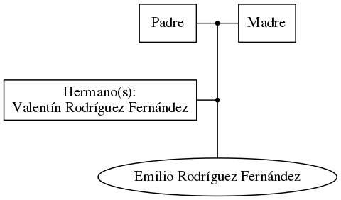 This is a graph with borders and nodes. Maybe there is an Imagemap used so the nodes may be linking to some Pages.