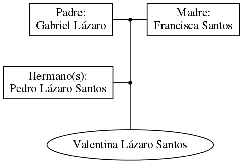 This is a graph with borders and nodes. Maybe there is an Imagemap used so the nodes may be linking to some Pages.