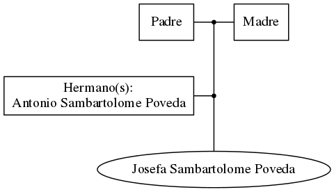 This is a graph with borders and nodes. Maybe there is an Imagemap used so the nodes may be linking to some Pages.