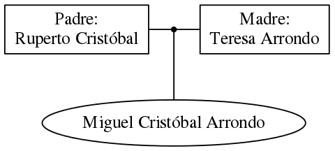 This is a graph with borders and nodes. Maybe there is an Imagemap used so the nodes may be linking to some Pages.