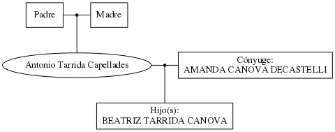 This is a graph with borders and nodes. Maybe there is an Imagemap used so the nodes may be linking to some Pages.