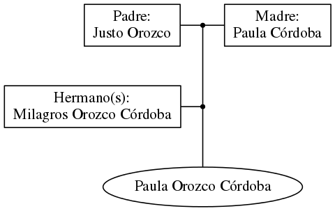 This is a graph with borders and nodes. Maybe there is an Imagemap used so the nodes may be linking to some Pages.