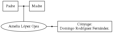 This is a graph with borders and nodes. Maybe there is an Imagemap used so the nodes may be linking to some Pages.