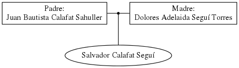 This is a graph with borders and nodes. Maybe there is an Imagemap used so the nodes may be linking to some Pages.