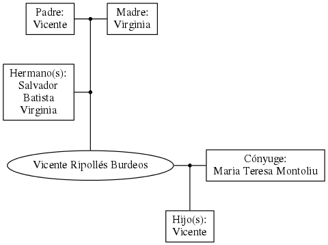 This is a graph with borders and nodes. Maybe there is an Imagemap used so the nodes may be linking to some Pages.