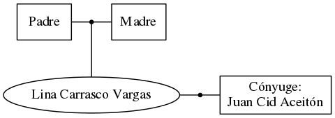 This is a graph with borders and nodes. Maybe there is an Imagemap used so the nodes may be linking to some Pages.