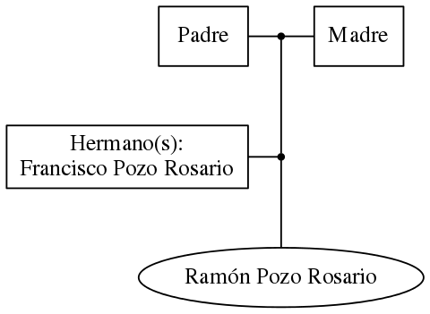 This is a graph with borders and nodes. Maybe there is an Imagemap used so the nodes may be linking to some Pages.