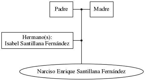 This is a graph with borders and nodes. Maybe there is an Imagemap used so the nodes may be linking to some Pages.