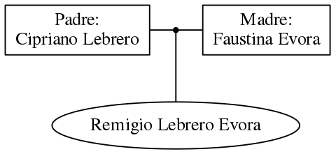 This is a graph with borders and nodes. Maybe there is an Imagemap used so the nodes may be linking to some Pages.