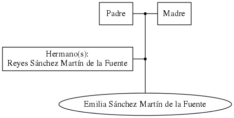 This is a graph with borders and nodes. Maybe there is an Imagemap used so the nodes may be linking to some Pages.