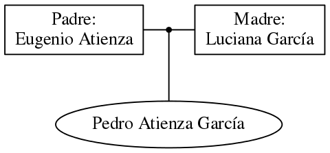 This is a graph with borders and nodes. Maybe there is an Imagemap used so the nodes may be linking to some Pages.