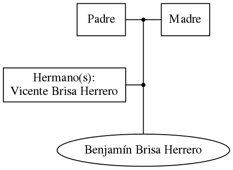 This is a graph with borders and nodes. Maybe there is an Imagemap used so the nodes may be linking to some Pages.