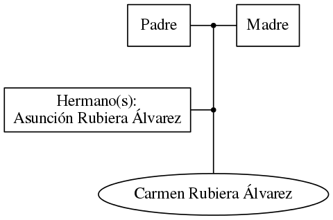 This is a graph with borders and nodes. Maybe there is an Imagemap used so the nodes may be linking to some Pages.