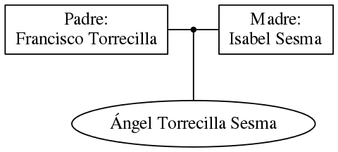 This is a graph with borders and nodes. Maybe there is an Imagemap used so the nodes may be linking to some Pages.