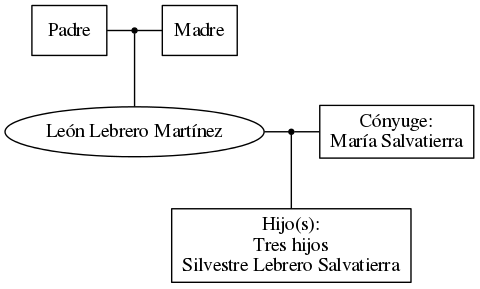 This is a graph with borders and nodes. Maybe there is an Imagemap used so the nodes may be linking to some Pages.